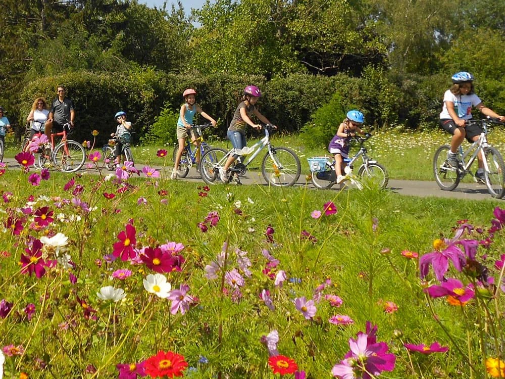 5 good reasons to go in the spring with your own children on bikes 5-good-reasons-to-leave-in-spring-with-your-children-on-bikes image