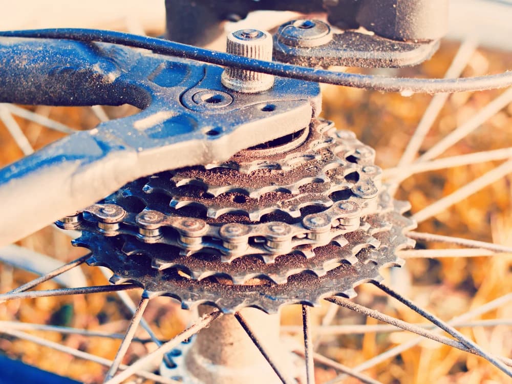 Adjusting the bike's gear: how and when to do it adjusting-bike-gears-how-when-to-do-it image