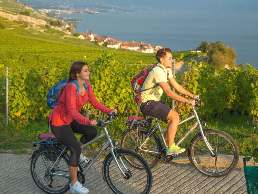 Rhône Cycle Route: along the Via Rhôna by bike, discovering the vineyards bike-path-rhone-via-rhona-bike image