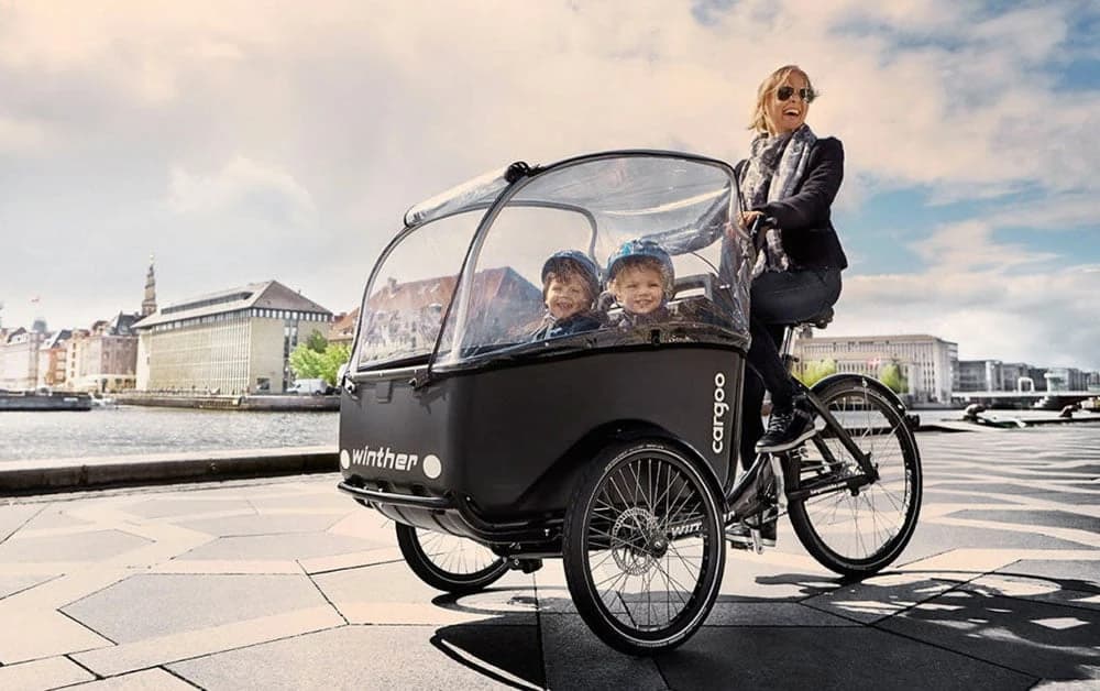Cargo bike: the most comfortable winter solution for kids cargo-bike-the-most-convenient-winter-solution-kids image