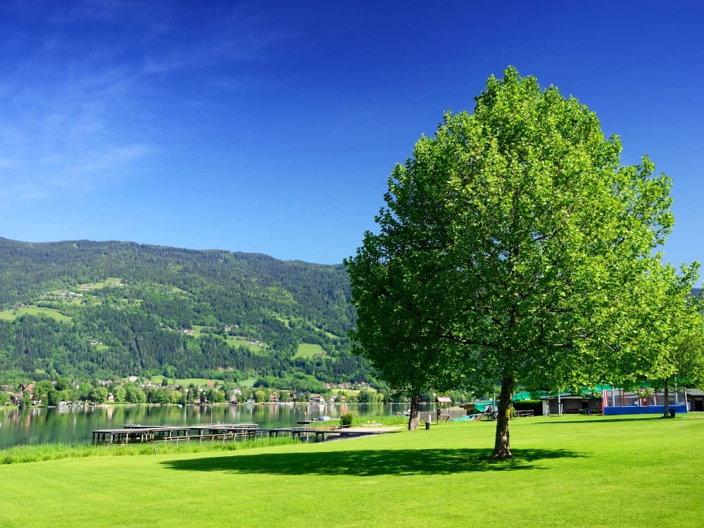 Discover Carinthia: 5 good reasons to take a trip to Austria discover-carinthia-5-good-reasons-a-trip-austria image