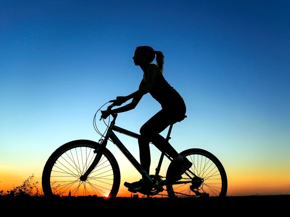 Profile of the cycle tourist identikit-of-the-cycle-tourist image