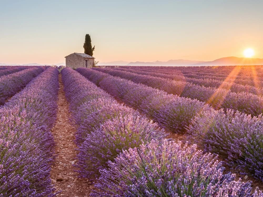 Itineraries in Provence: photography, nature and ancient cities itineraries-in-provence-photography-nature-and-ancient-cities image