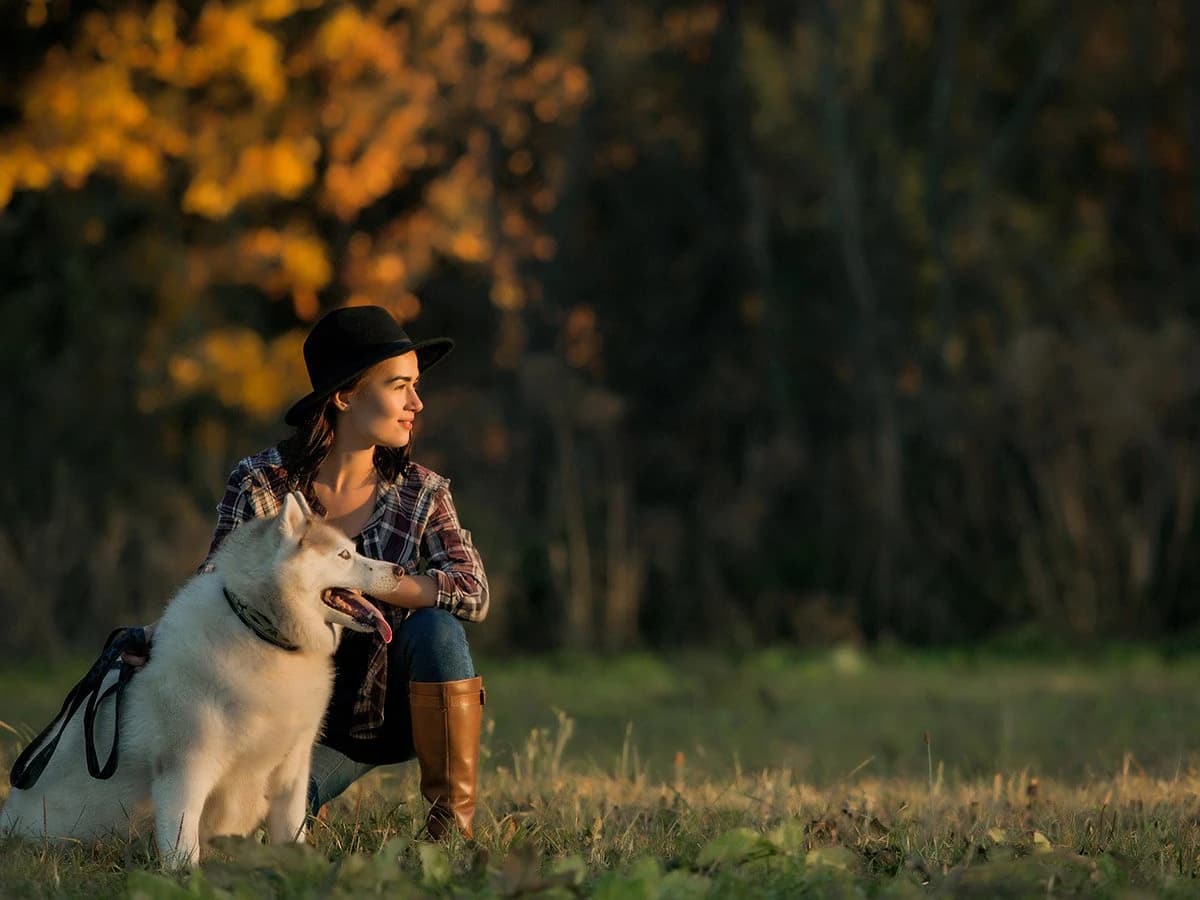 Traveling on foot and by bike with the dog: 5 useful tips to prepare travel-on-foot-with-dog-useful-tips image