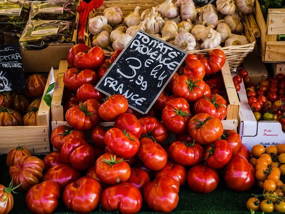 5 Days in Provence by Bicycle 5-days-in-provence-by-bicycle