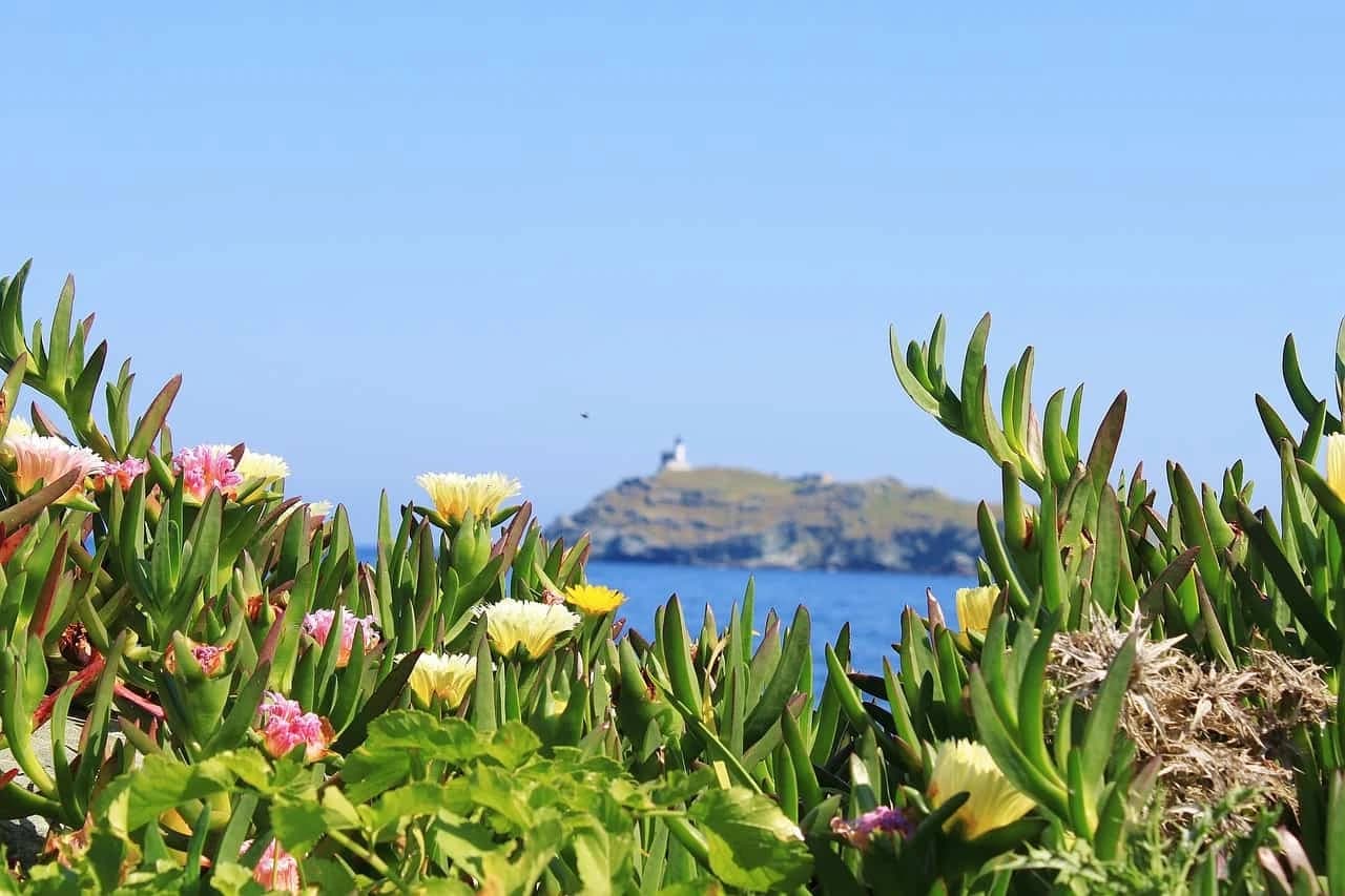 Bastia to Ajaccio: Cycling Corsica's Stunning West Coast bastia-to-ajaccio-cycling-corsicas-west-coast