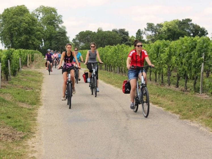 Bordeaux Vineyards and the Route des Grands Crus by Bike Illustrative image, AI-generated or AI-modified: Bordeaux Vineyards and the Route des Grands Crus by Bike