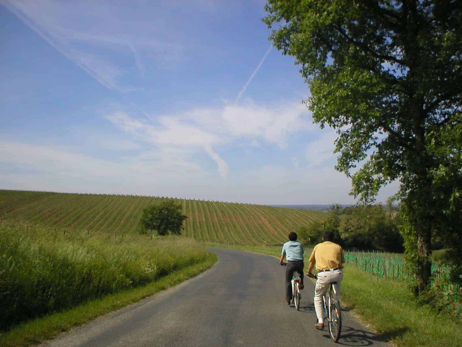 Bordeaux Vineyards and the Route des Grands Crus by Bike Illustrative image, AI-generated or AI-modified: Bordeaux Vineyards and the Route des Grands Crus by Bike
