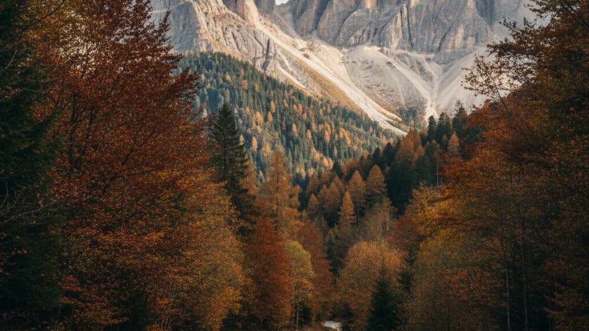 From the Dolomites to Venice: Cycling the Old Railway Trail Illustrative image, AI-generated or AI-modified: From the Dolomites to Venice: Cycling the Old Railway Trail