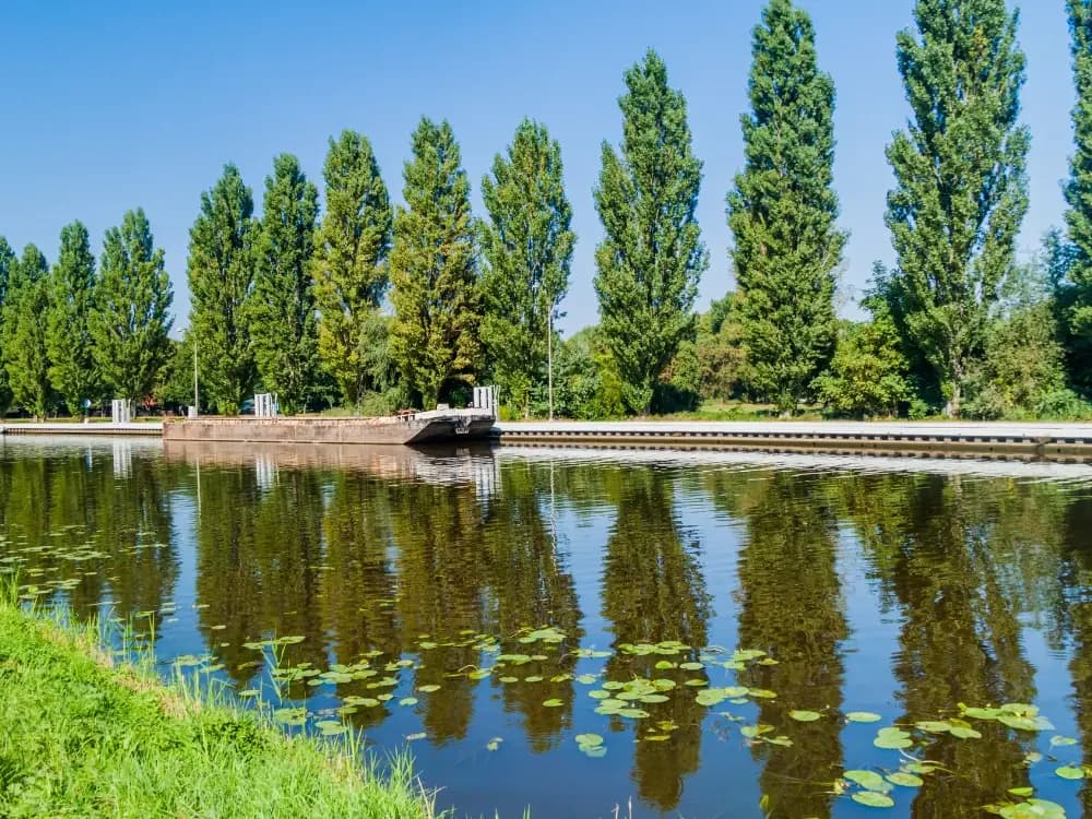 Elbe Spring to Prague Tour elbe-spring-to-prague-tour