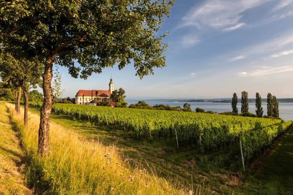Lake Constance Family Tour: Cycling Around the Bodensee Illustrative image, AI-generated or AI-modified: Lake Constance Family Tour: Cycling Around the Bodensee