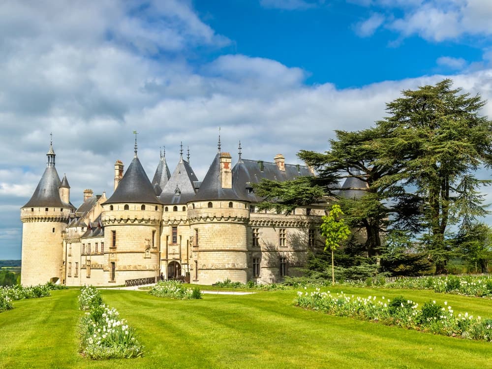 Loire Castles Superior Cycling Stay Illustrative image, AI-generated or AI-modified: Loire Castles Superior Cycling Stay