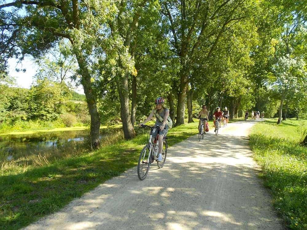 Loire Castles Superior Cycling Stay Illustrative image, AI-generated or AI-modified: Loire Castles Superior Cycling Stay