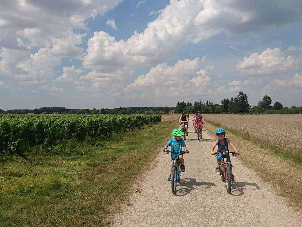 Loire Family Cycling: From Blois to Amboise Illustrative image, AI-generated or AI-modified: Loire Family Cycling: From Blois to Amboise