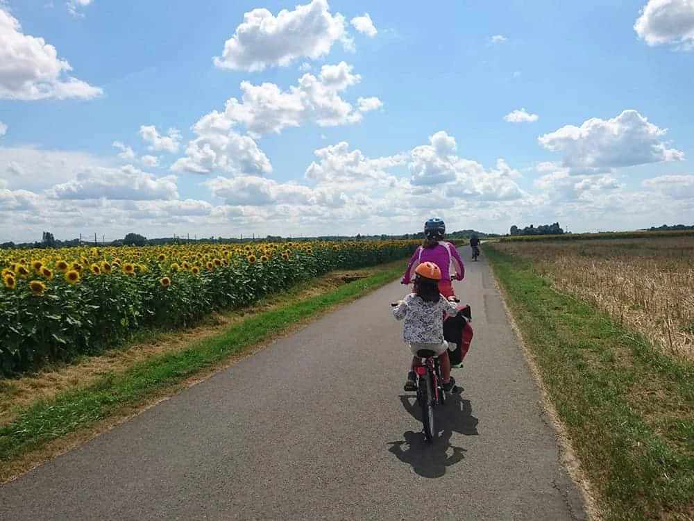 Loire Family Cycling: From Blois to Amboise Illustrative image, AI-generated or AI-modified: Loire Family Cycling: From Blois to Amboise