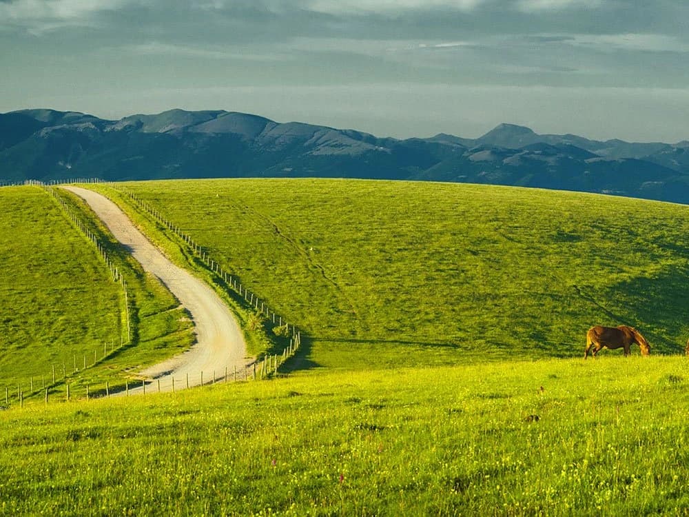 Cycling the Umbrian Valley: 5-Day Tour through Assisi, Spoleto and Montefalco Illustrative image, AI-generated or AI-modified: Cycling the Umbrian Valley: 5-Day Tour through Assisi, Spoleto and Montefalco