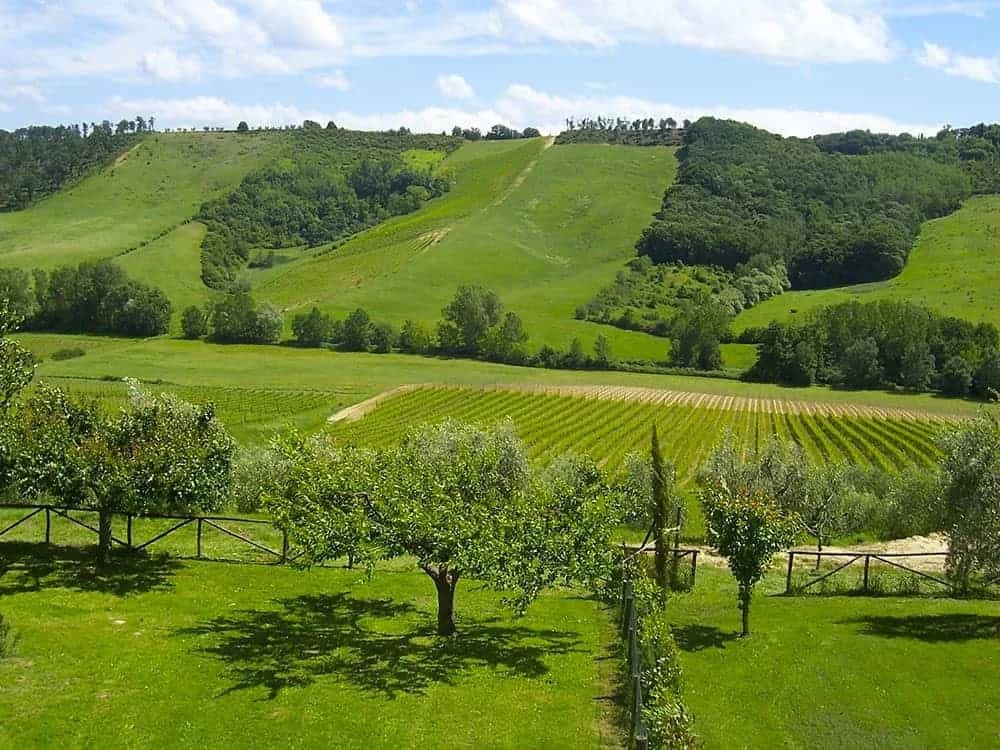 Cycling the Umbrian Valley: 5-Day Tour through Assisi, Spoleto and Montefalco Illustrative image, AI-generated or AI-modified: Cycling the Umbrian Valley: 5-Day Tour through Assisi, Spoleto and Montefalco