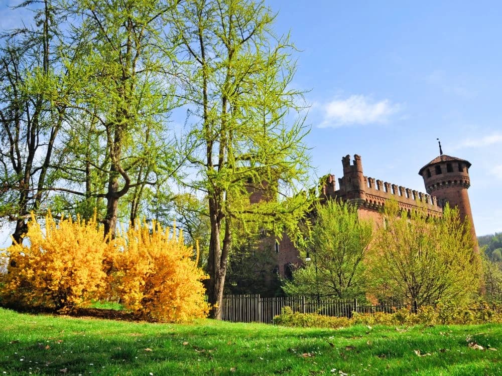 Piedmont Castles and Parks Family Cycling Tour Illustrative image, AI-generated or AI-modified: Piedmont Castles and Parks Family Cycling Tour