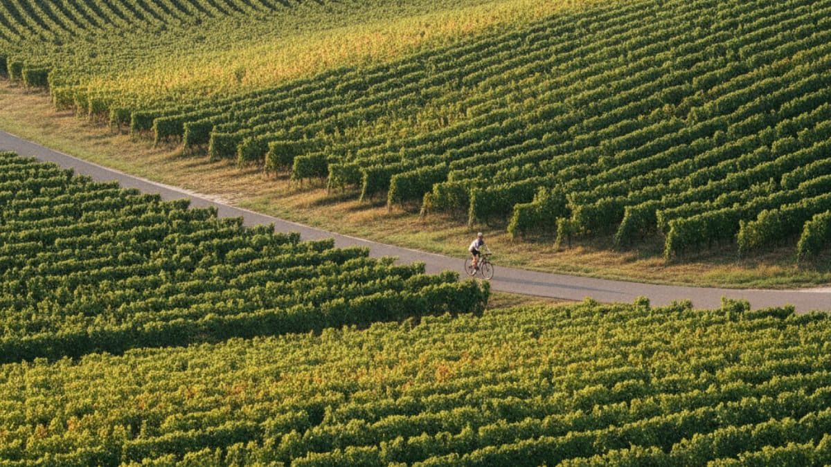 Prague to Vienna: Cycling the Greenway Illustrative image, AI-generated or AI-modified: Prague to Vienna: Cycling the Greenway
