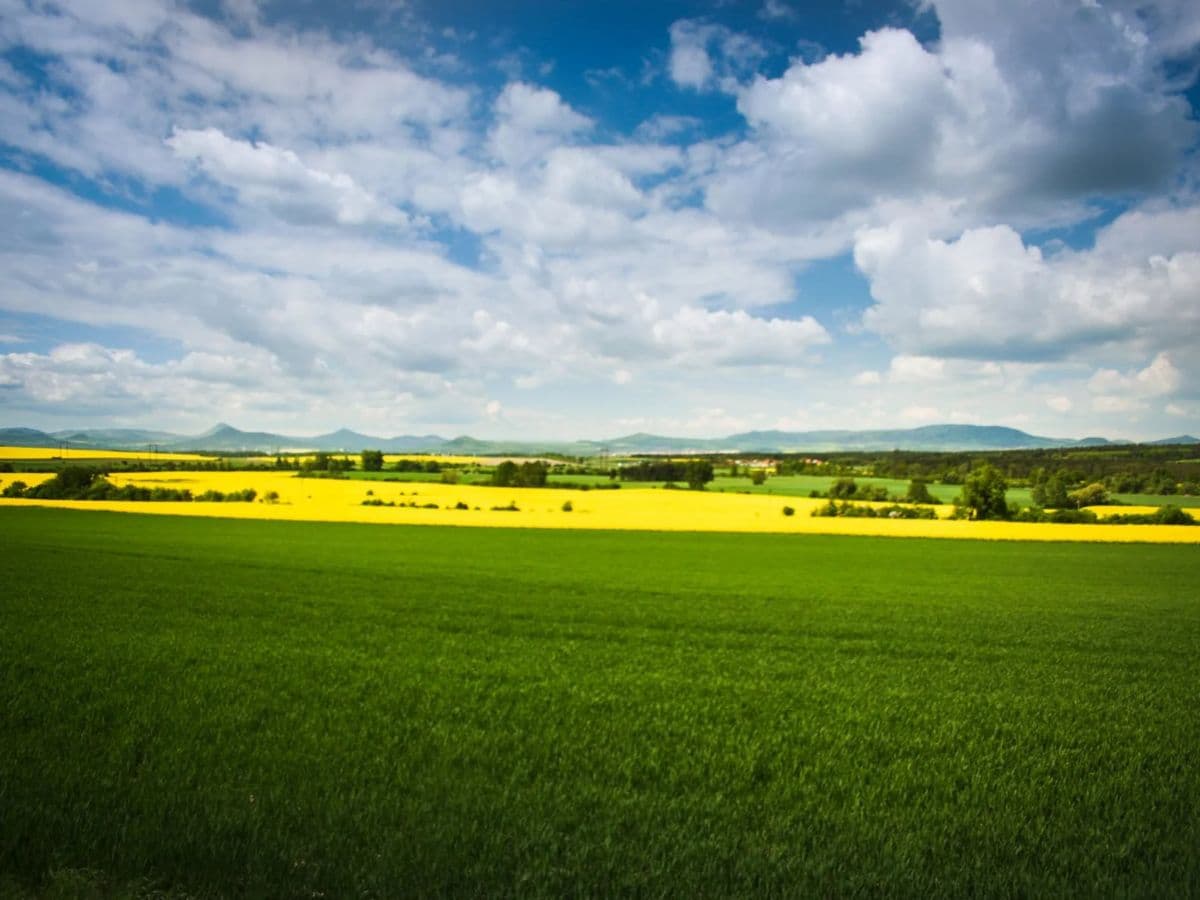 Prague to Dresden: Cycling the Elbe from Bohemia to Saxony Illustrative image, AI-generated or AI-modified: Prague to Dresden: Cycling the Elbe from Bohemia to Saxony