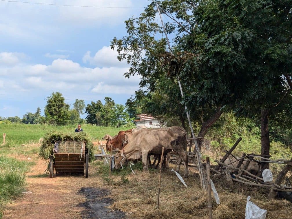 Thailand Heritage Plains via Uthai Thani Illustrative image, AI-generated or AI-modified: Thailand Heritage Plains via Uthai Thani