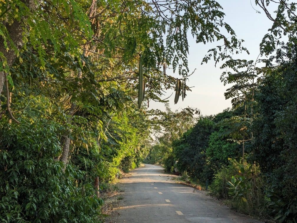 Thailand Heritage Plains via Uthai Thani Illustrative image, AI-generated or AI-modified: Thailand Heritage Plains via Uthai Thani