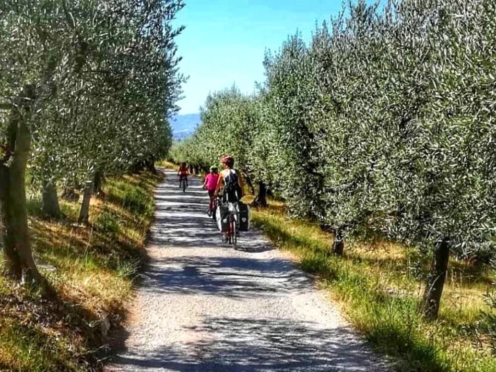 Surprising Umbria: 5-Day Cycling Tour from Assisi to Spoleto surprising-umbria-5-day-cycling-assisi-spoleto