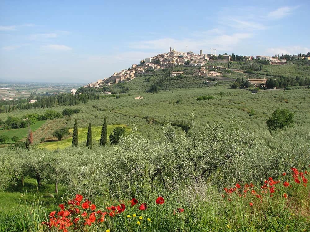Surprising Umbria: 5-Day Cycling Tour from Assisi to Spoleto Illustrative image, AI-generated or AI-modified: Surprising Umbria: 5-Day Cycling Tour from Assisi to Spoleto