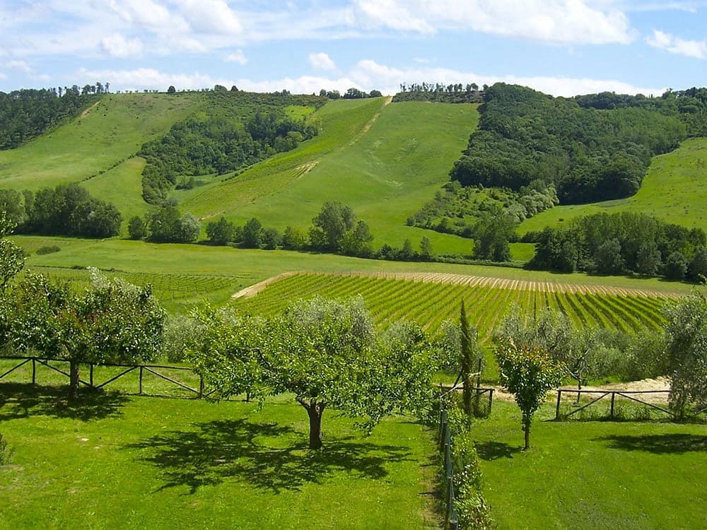 Surprising Umbria: 7-Day Cycling Tour from Assisi to Spoleto Illustrative image, AI-generated or AI-modified: Surprising Umbria: 7-Day Cycling Tour from Assisi to Spoleto