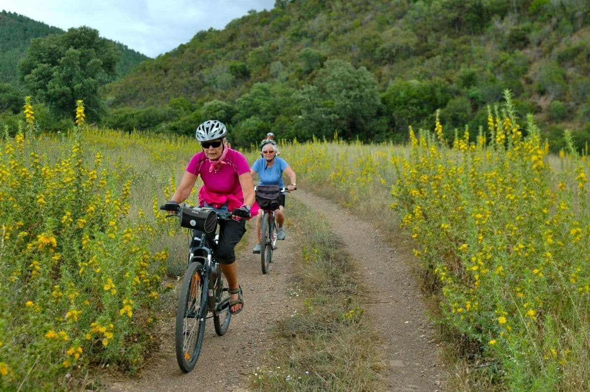 Wild Algarve Cycling Tour Illustrative image, AI-generated or AI-modified: Wild Algarve Cycling Tour