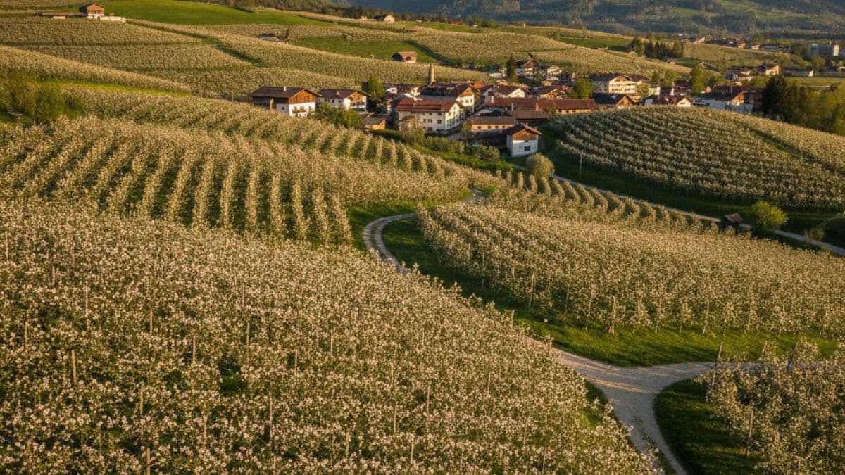 Adige Short Tour: Schlanders to Arco adige-short-tour-schlanders-arco