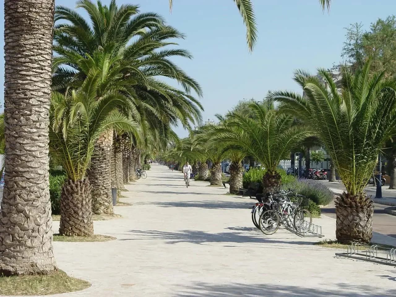 Bike to Coast and the Via Verde of the Trabocchi Coast Illustrative image, AI-generated or AI-modified: Bike to Coast and the Via Verde of the Trabocchi Coast