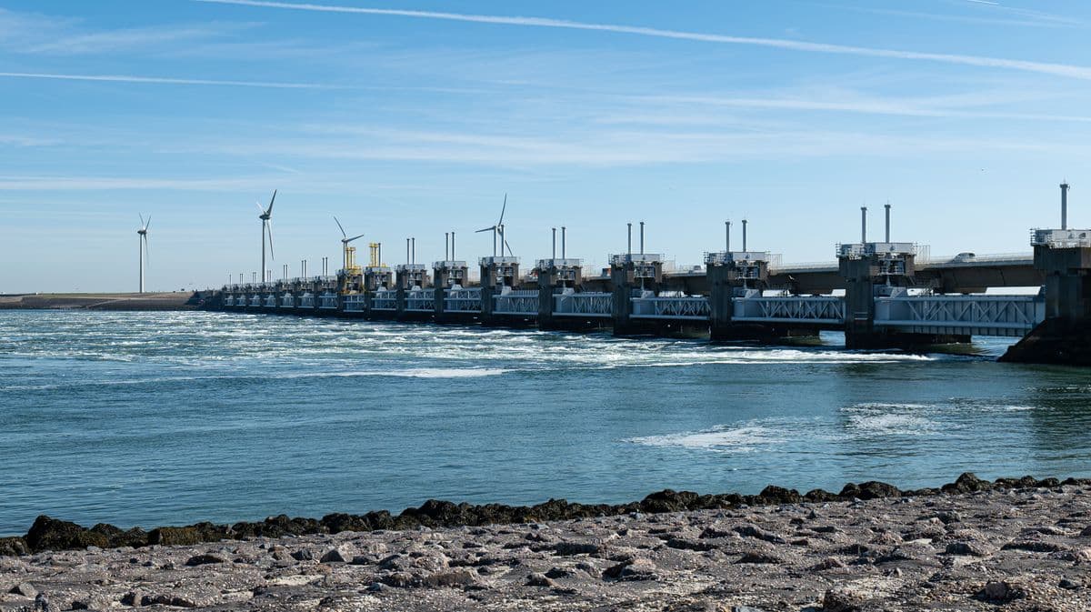 Historic Towns and coastal Holland by Sail and Bike historic-towns-coastal-holland-sail-bike