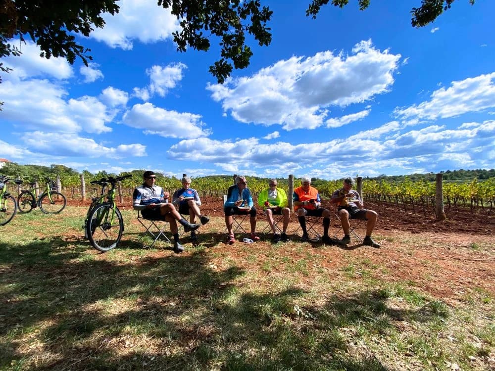 Istrian Wine Roads Short Break Illustrative image, AI-generated or AI-modified: Istrian Wine Roads Short Break