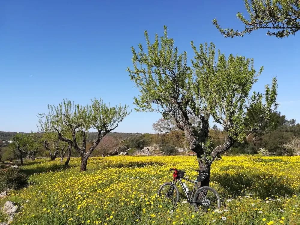 Matera and Puglia Self-Guided Tour Illustrative image, AI-generated or AI-modified: Matera and Puglia Self-Guided Tour