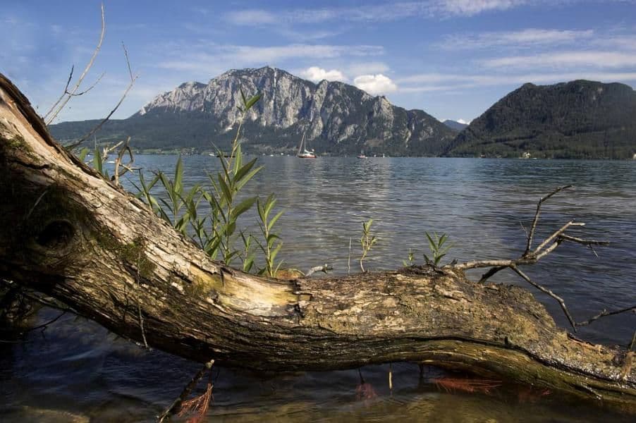 Salzburg Lakes Cycling Tour – Leisurely 7 Days salzburg-lakes-cycling-tour