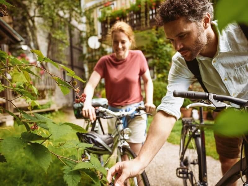 Salzburg Lakes Cycling Tour – Leisurely 7 Days salzburg-lakes-cycling-tour