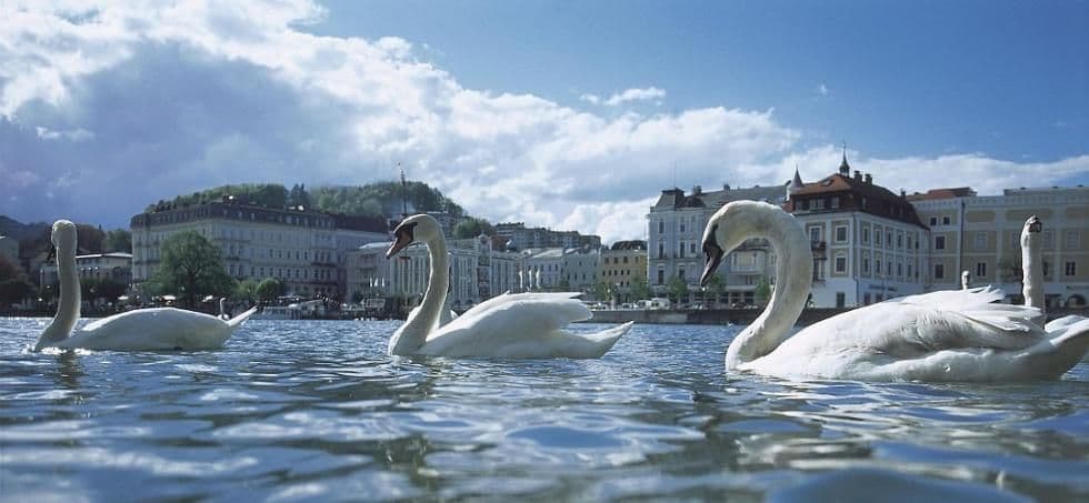 Salzburg Lakes Cycling Tour – Leisurely 7 Days salzburg-lakes-cycling-tour