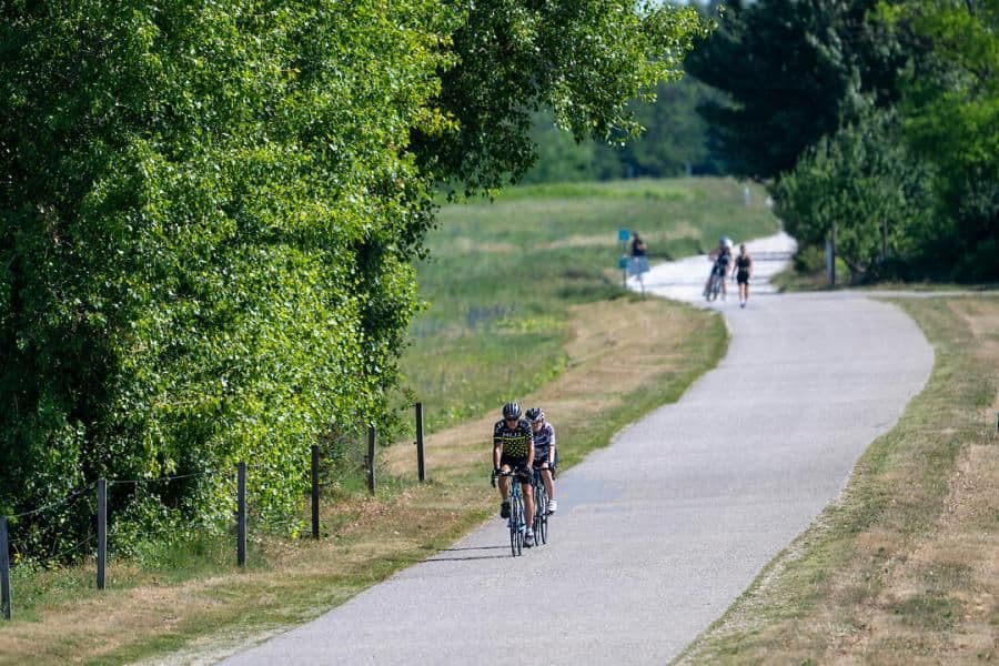 Lake Neusiedl Wine Cycling Tour lake-neusiedl-wine-cycling-tour
