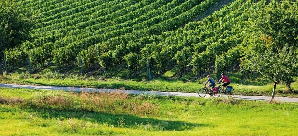 Lake Neusiedl Wine Cycling Tour lake-neusiedl-wine-cycling-tour