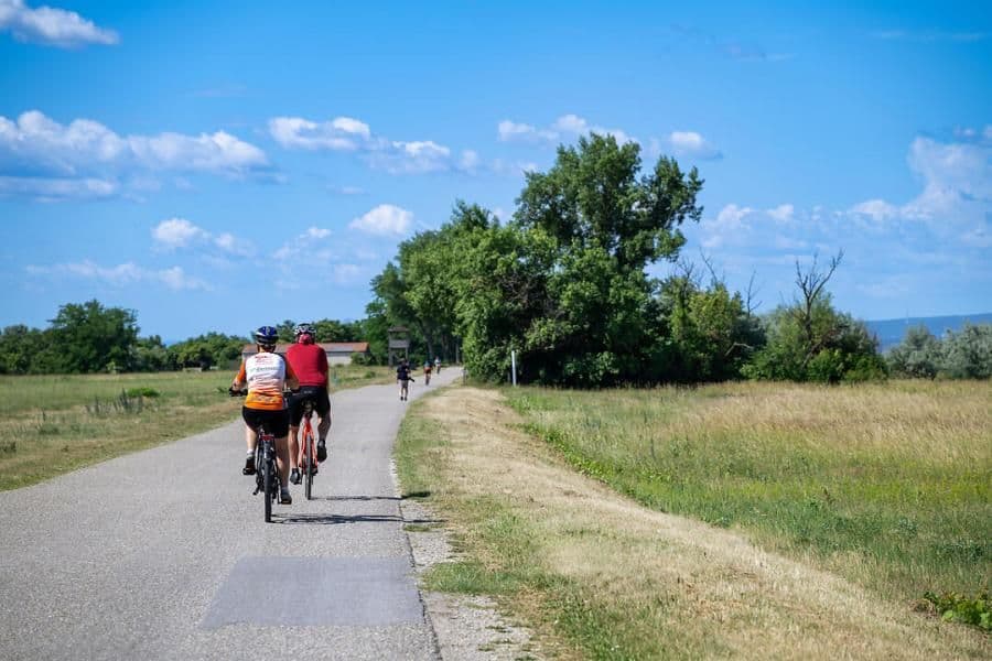 Lake Neusiedl Wine Cycling Tour lake-neusiedl-wine-cycling-tour