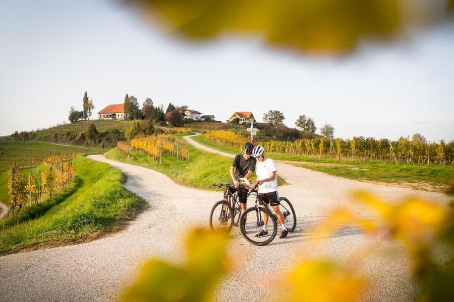 Slovenia Wine and Spa Cycling Tour slovenia-wine-and-spa-cycling-tour