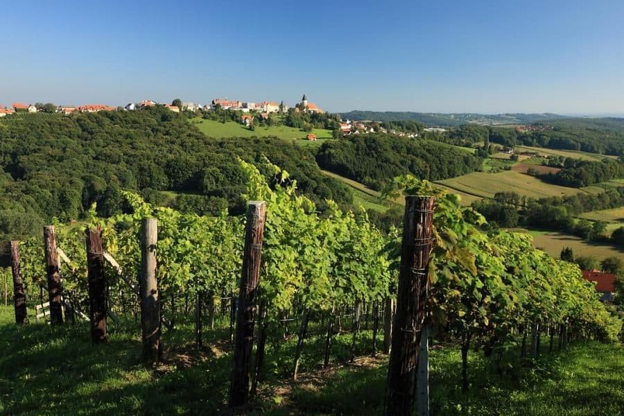 Slovenia Wine and Spa Cycling Tour slovenia-wine-and-spa-cycling-tour