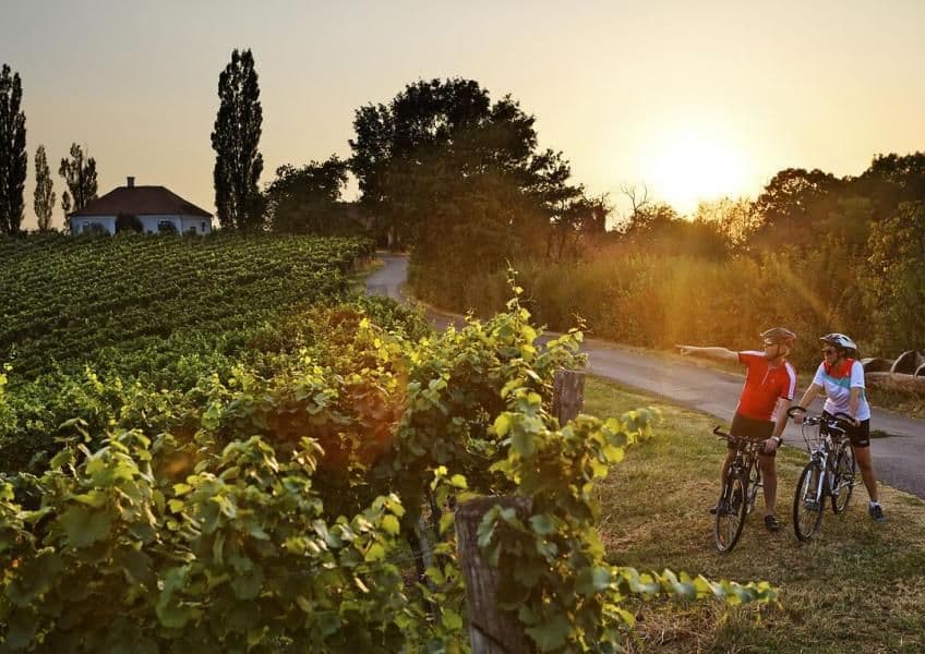 Slovenia Wine and Spa Cycling Tour slovenia-wine-and-spa-cycling-tour