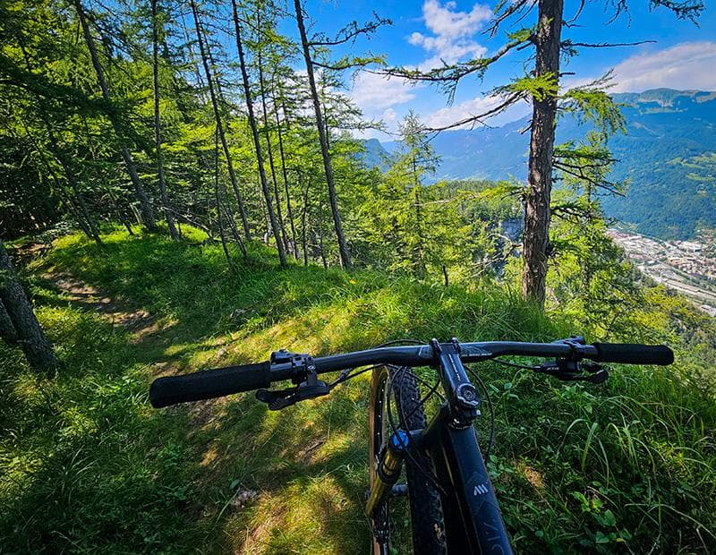 Juliana Trail MTB Cycling Tour Illustrative image, AI-generated or AI-modified: Juliana Trail MTB Cycling Tour