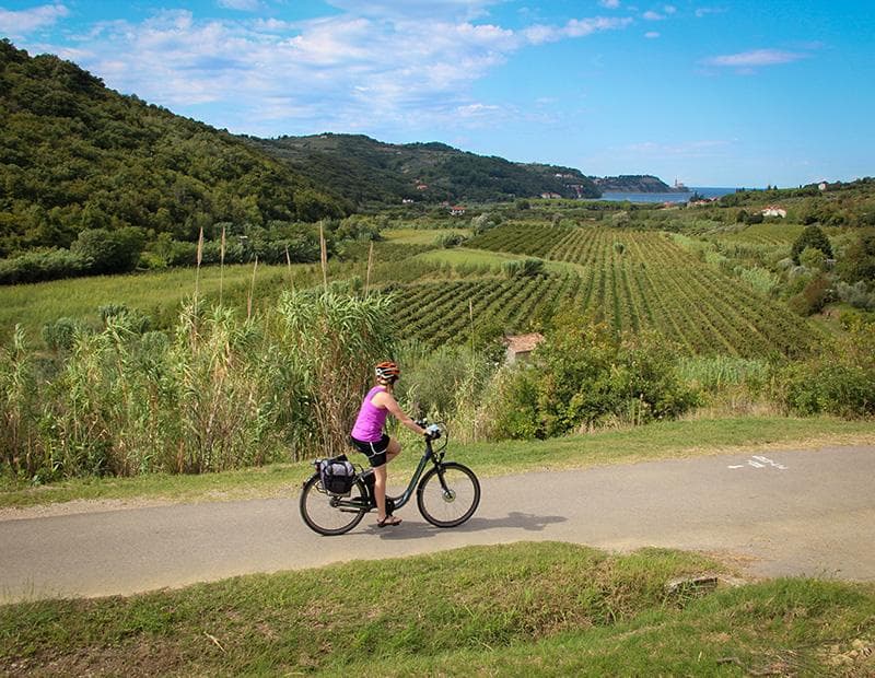 Istria Cycling Tour Illustrative image, AI-generated or AI-modified: Istria Cycling Tour