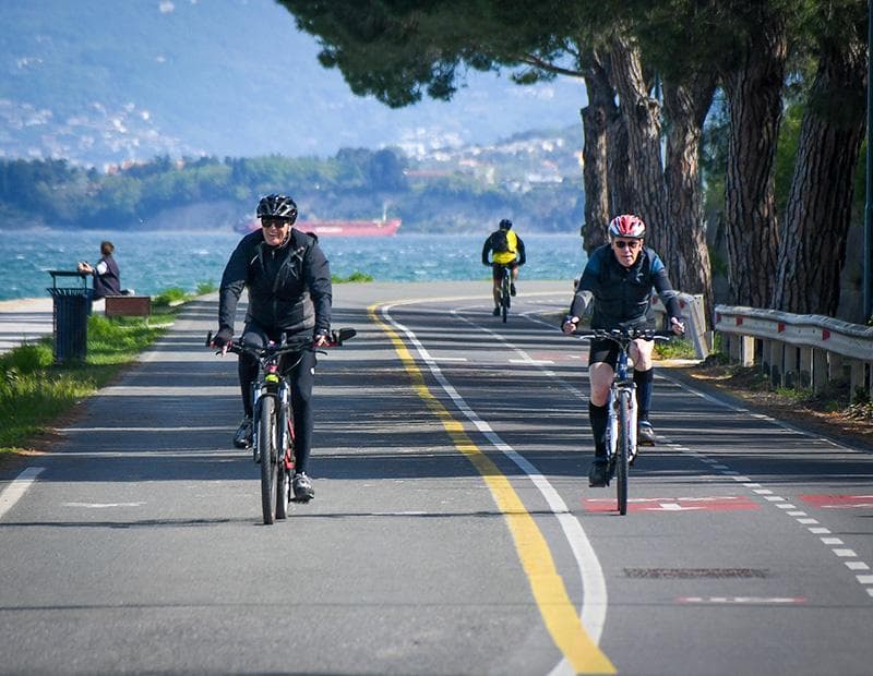 Istria Cycling Tour Illustrative image, AI-generated or AI-modified: Istria Cycling Tour