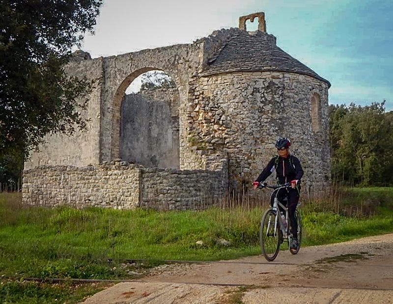 Istria Cycling Tour Illustrative image, AI-generated or AI-modified: Istria Cycling Tour