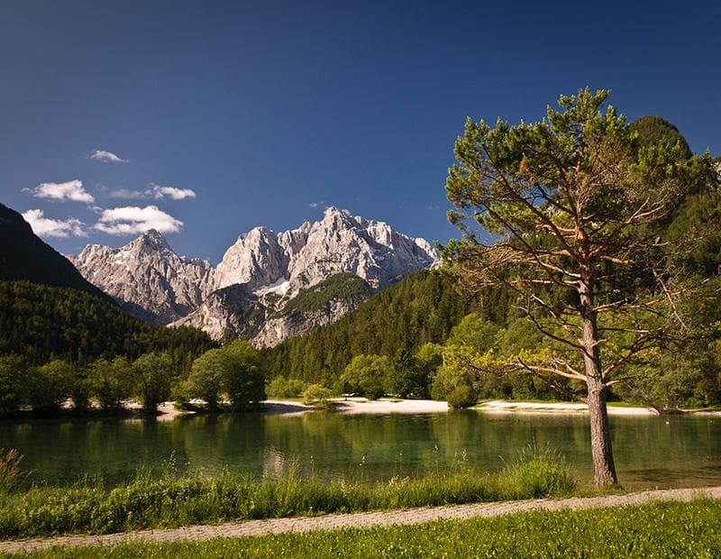 Slovenian Alps Road Cycling Tour Illustrative image, AI-generated or AI-modified: Slovenian Alps Road Cycling Tour