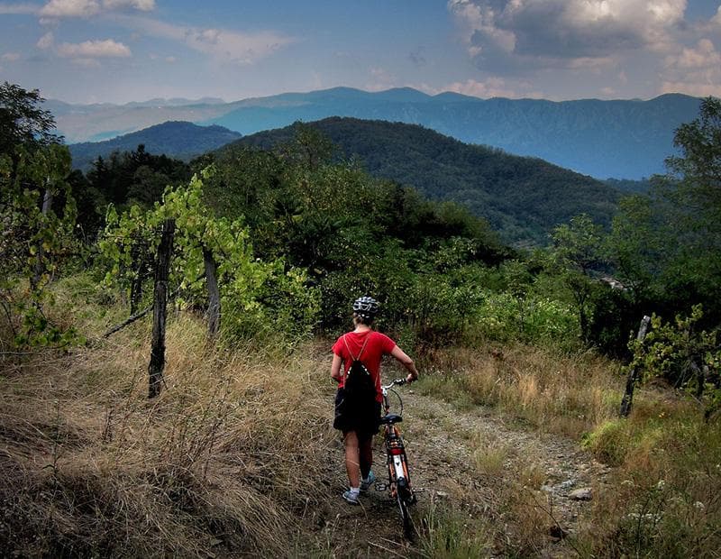Slovenia Alps to Sea Cycling Tour Illustrative image, AI-generated or AI-modified: Slovenia Alps to Sea Cycling Tour